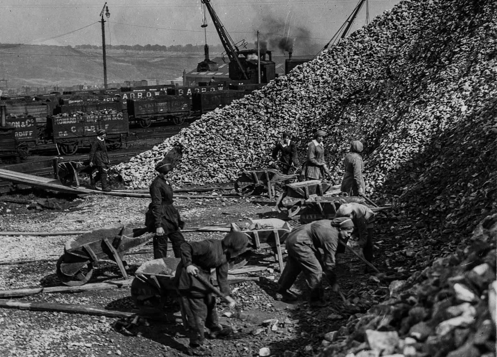 Chemical workers load wheelbarrows with lime.
