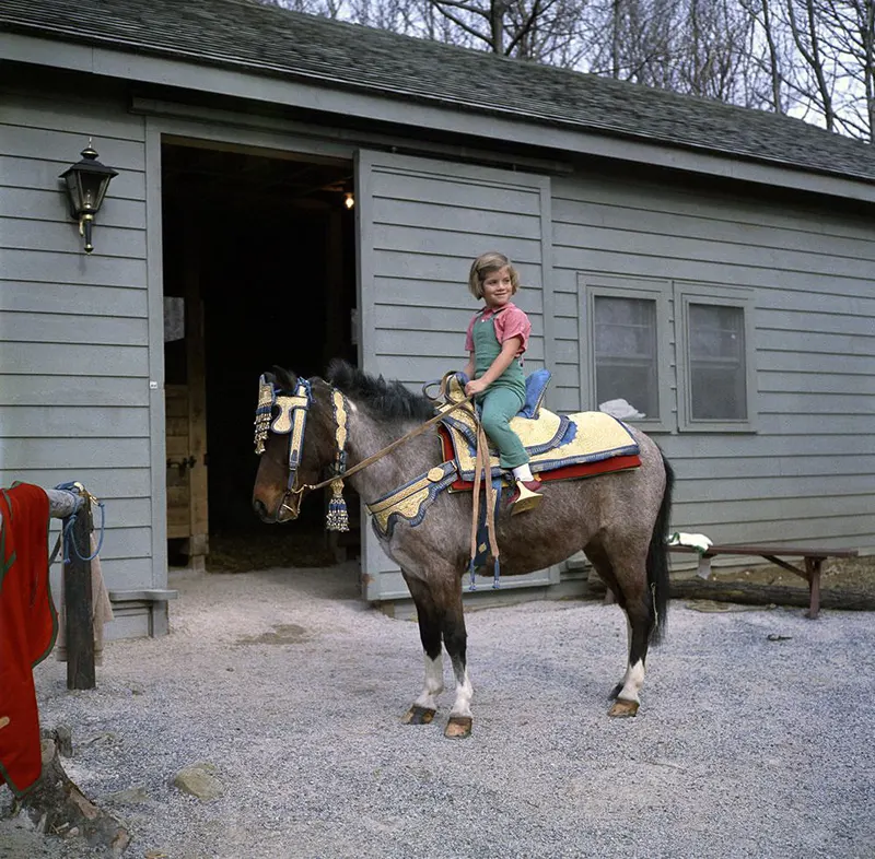 macaroni pony white house