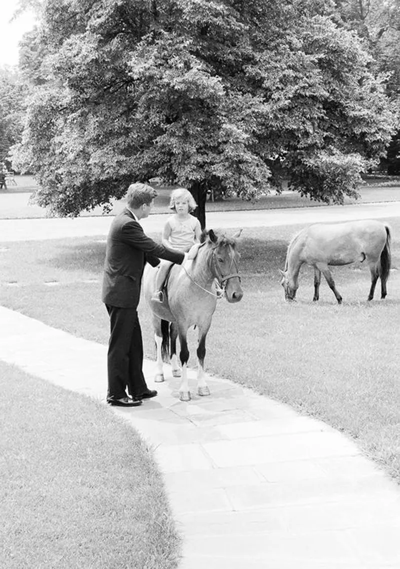 macaroni pony white house