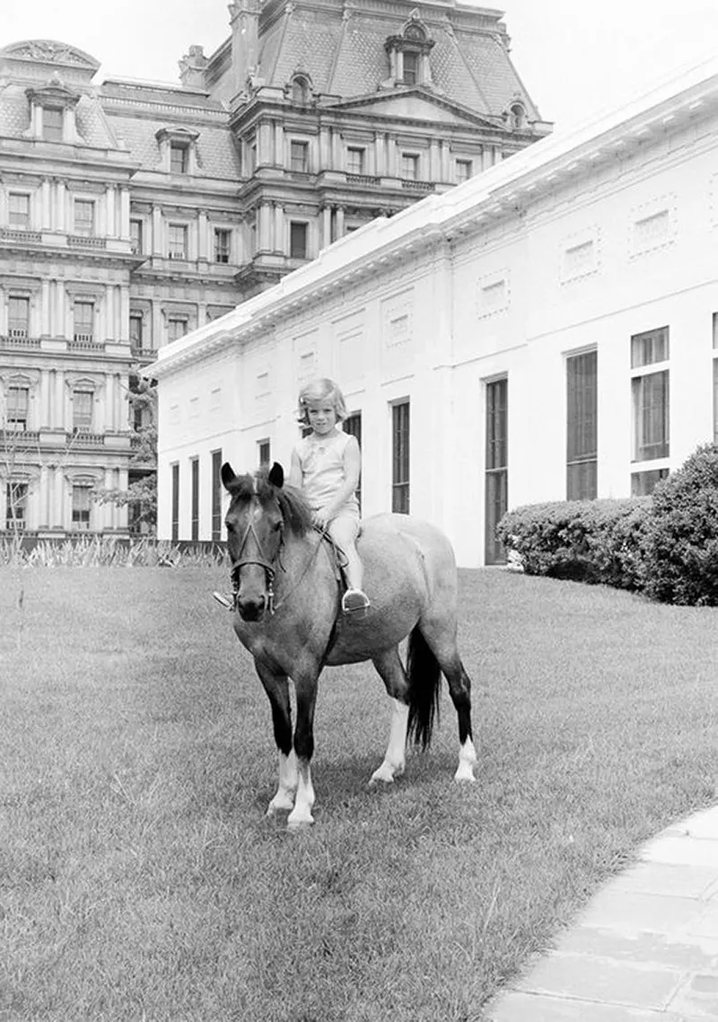 macaroni pony white house