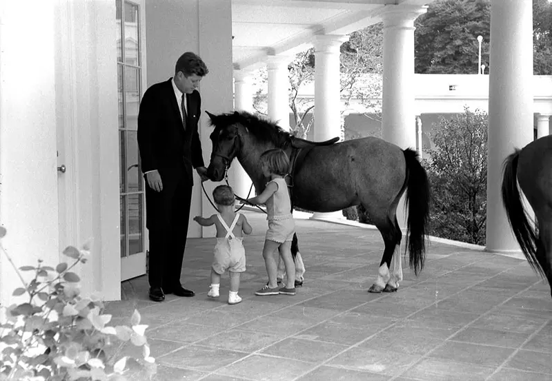 macaroni pony white house