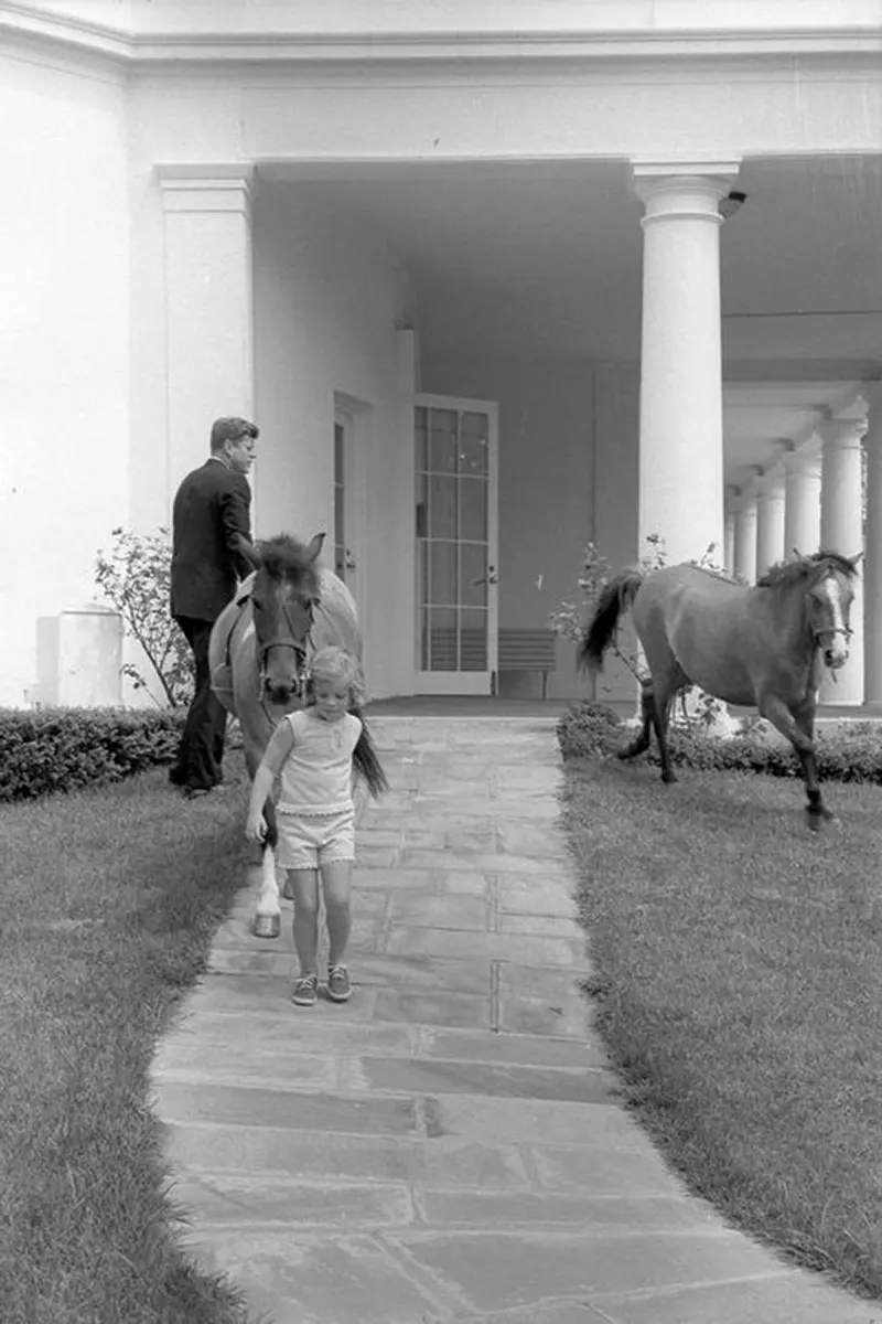 macaroni pony white house