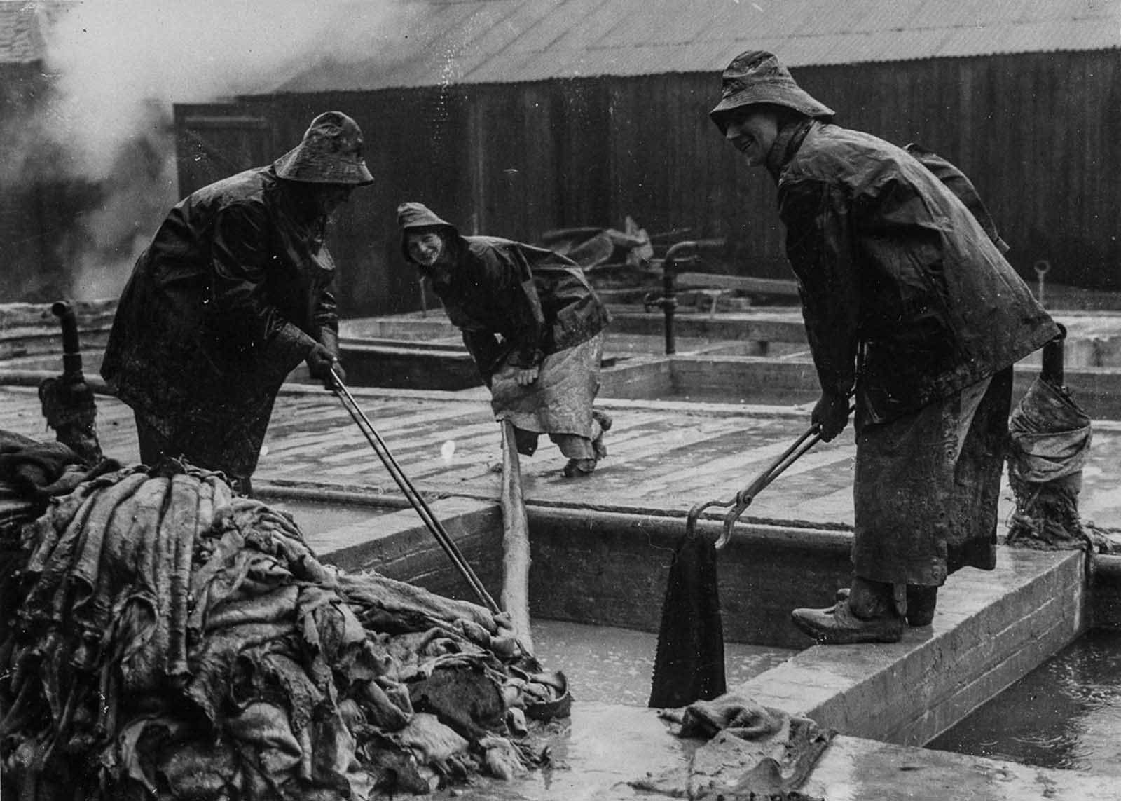 Tannery workers draw skins from a lime pit.