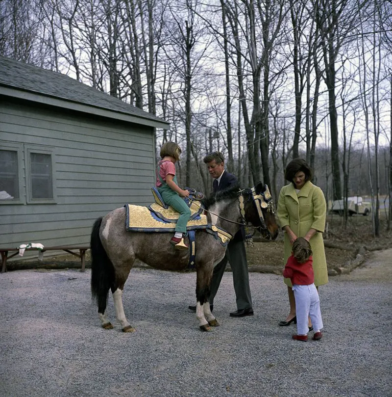 macaroni pony white house