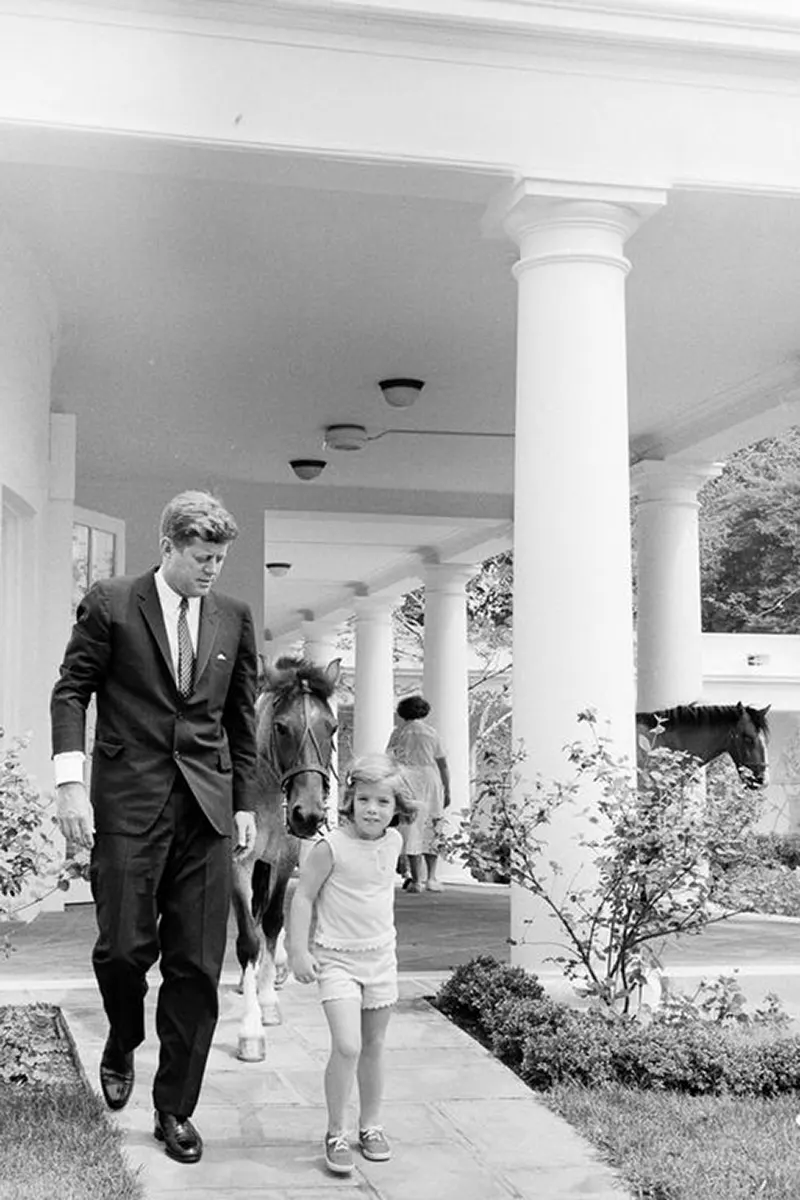 macaroni pony white house