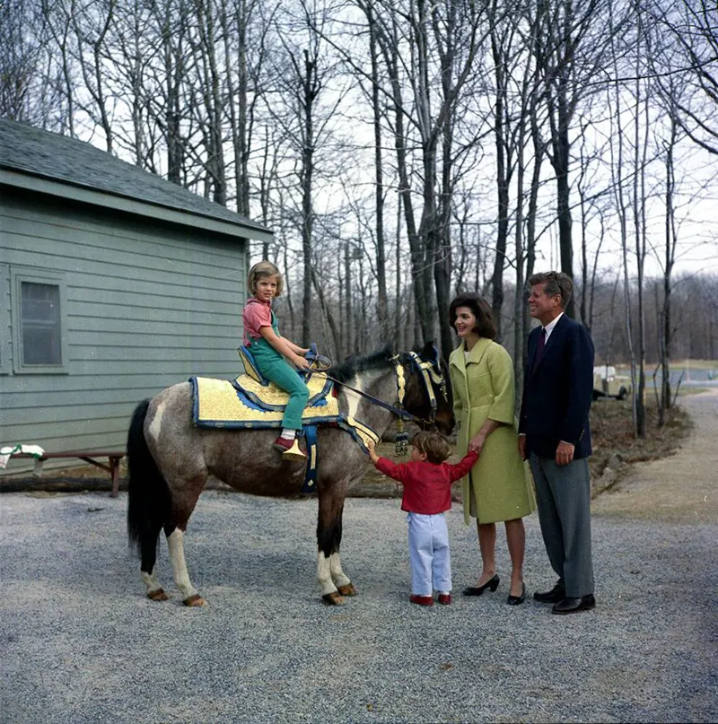macaroni pony white house