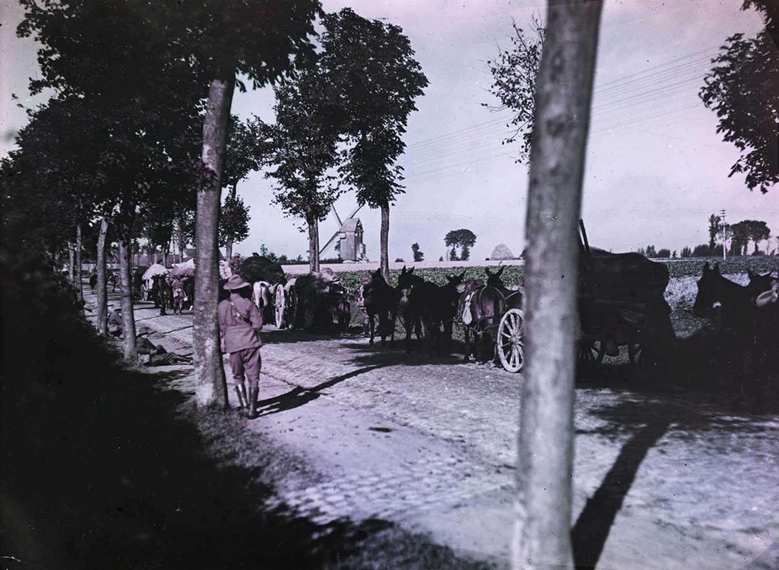 Transport on the Cassel Ypres Hoad at Steenvorde. Belgium, September, 1917. This image was taken using the Paget process, an early experiment in color photography.