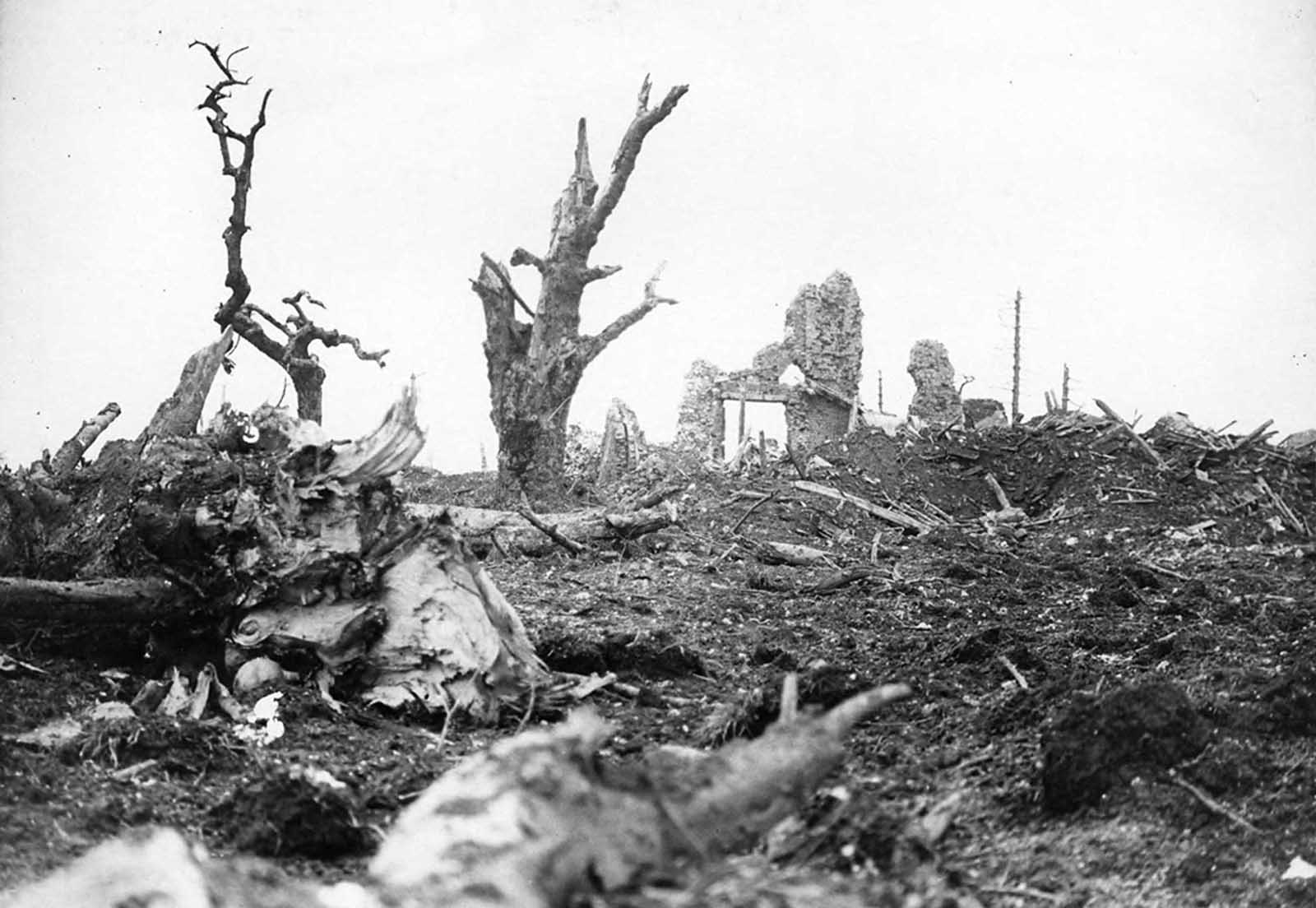 Ruins of Gommecourt Chateau, France. The small community of Gommecourt sat on the front lines for years, changing hands numerous times, and was bombed into near-oblivion by the end.