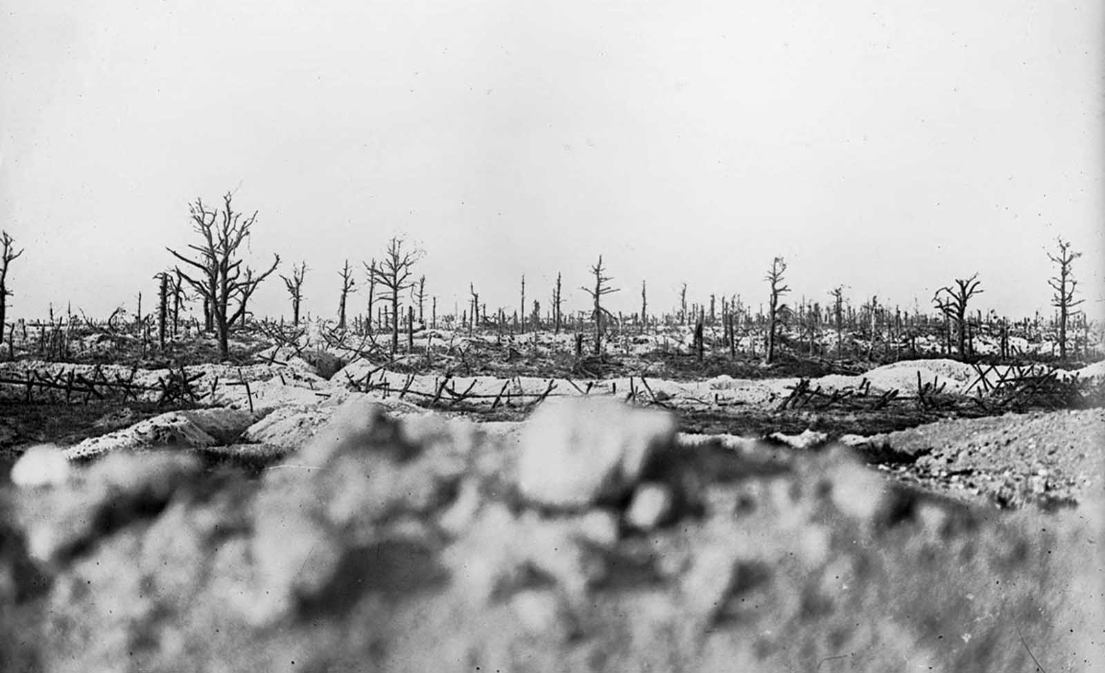 Battlefield in the Marne between Souain and Perthes, 1915.