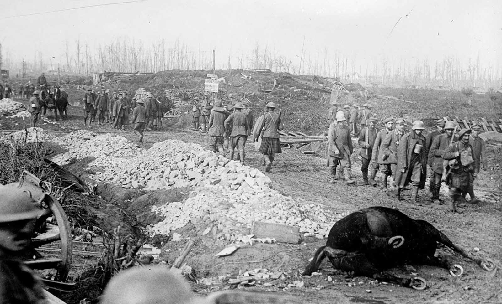 British soldiers and Highlanders with German prisoners walk past war ruins and a dead horse, after the Battle of the Menin Road Ridge, part of the Third Battle of Ypres in September of 1917. The sign near the railroad tracks reads (possibly):