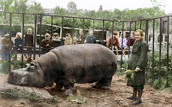 Colorized Images Eastern Front World War Two