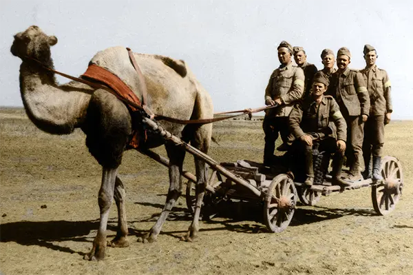 Colorized Images Eastern Front World War Two
