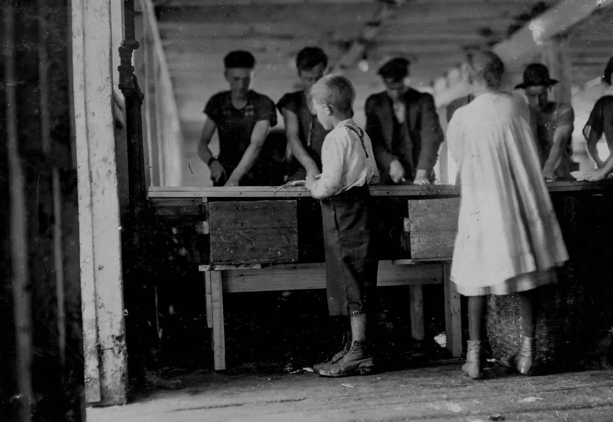 sardine canneries child workers