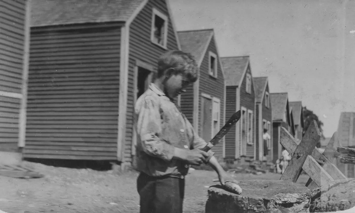 sardine canneries child workers