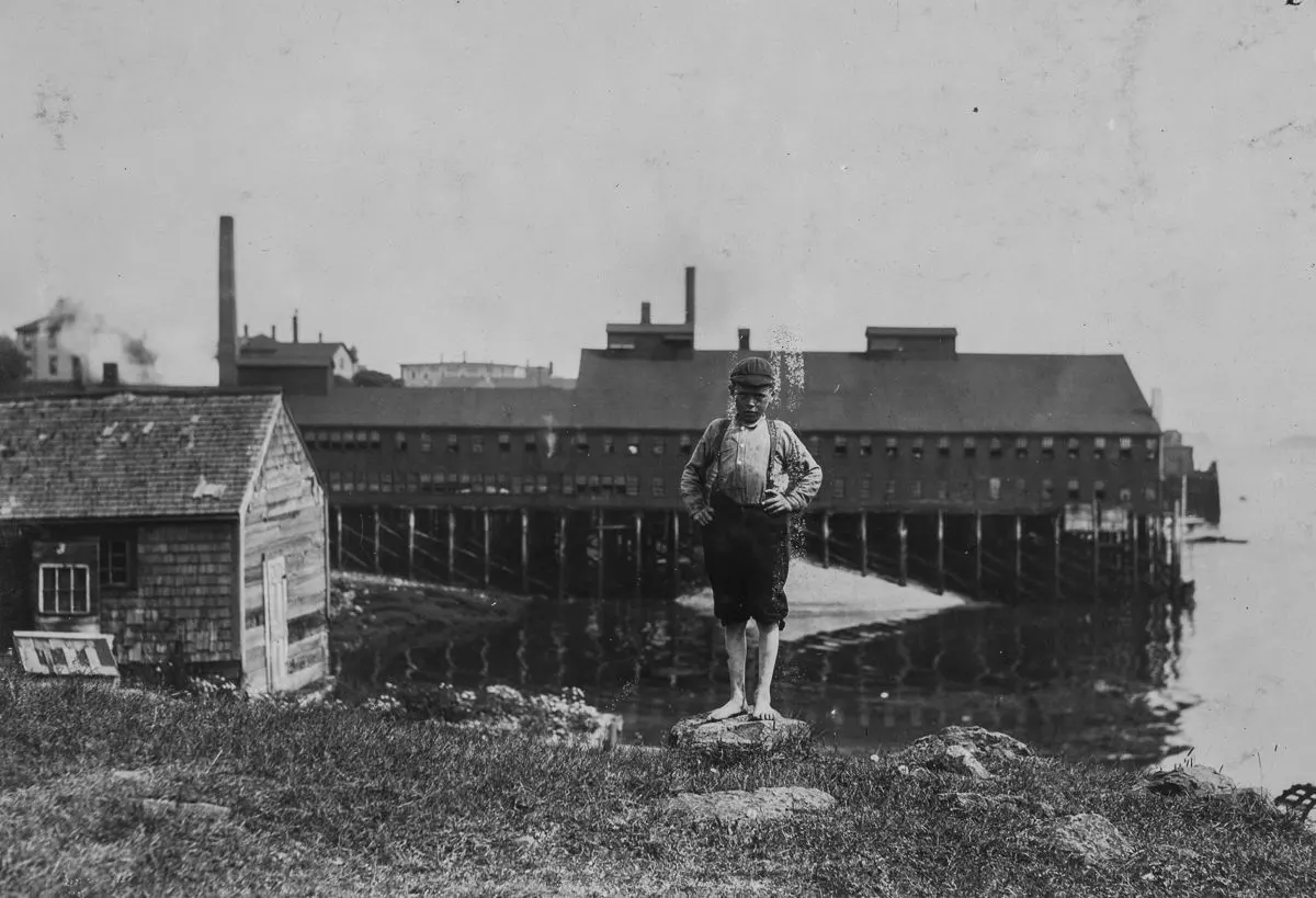 sardine canneries child workers