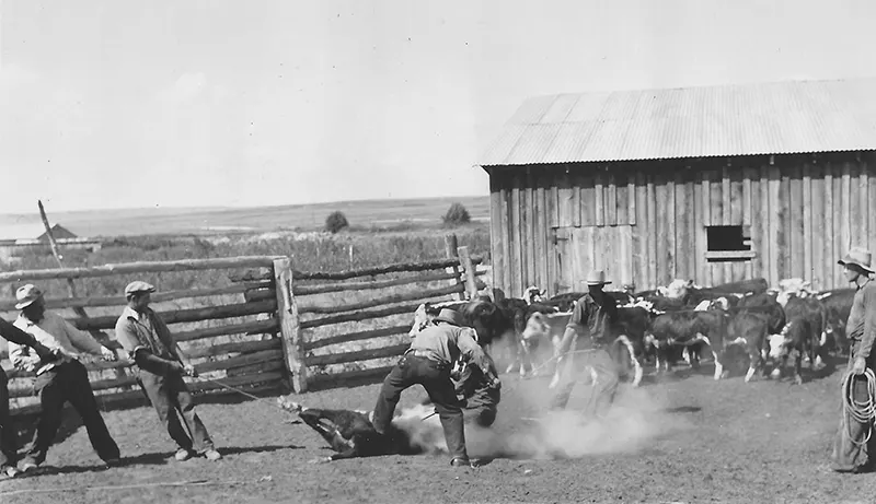American Frontier Old Photos