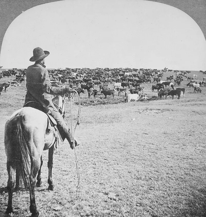 American Frontier Old Photos