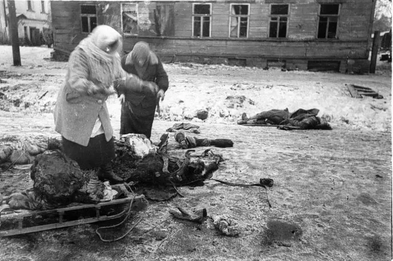  Siege of Leningrad Historical Photos