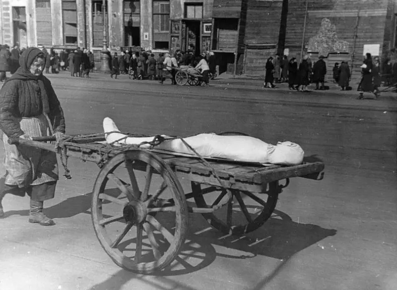  Siege of Leningrad Historical Photos