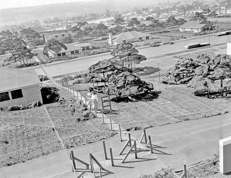 Boeing fake rooftop town