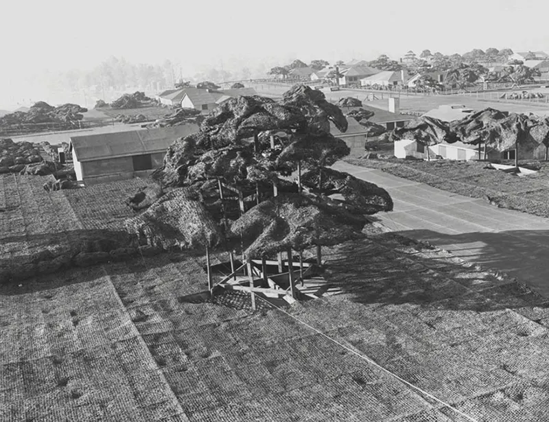 Boeing fake rooftop town