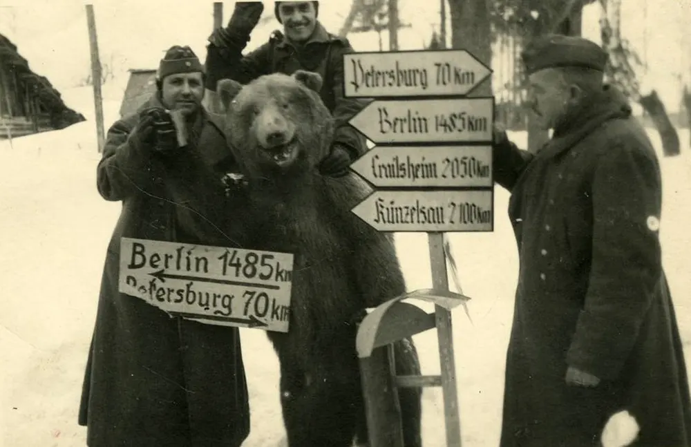 odd photos from Wolrd War Two