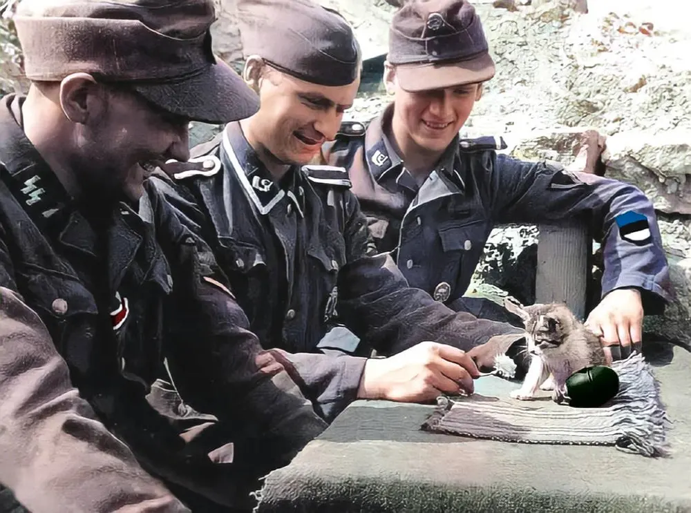 odd photos from Wolrd War Two