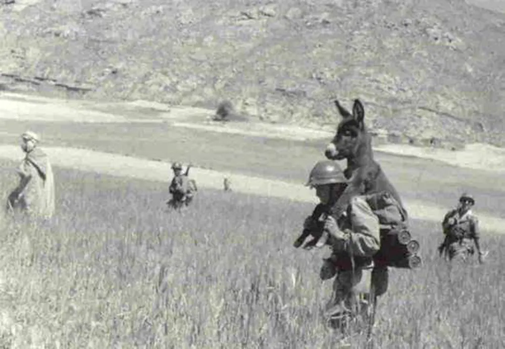 odd photos from Wolrd War Two