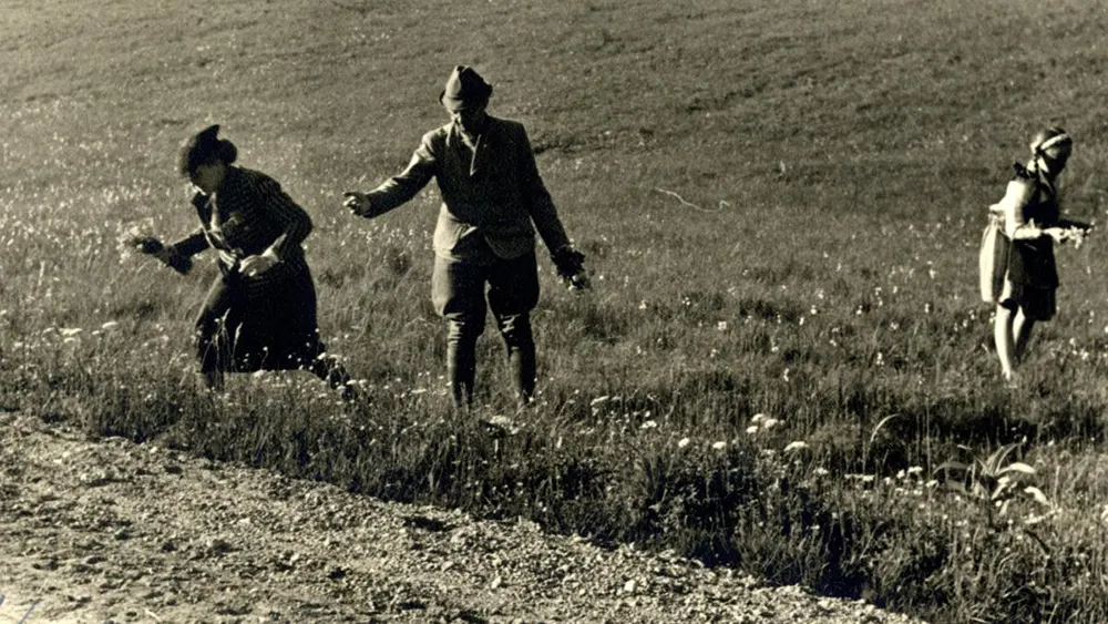 odd photos from Wolrd War Two