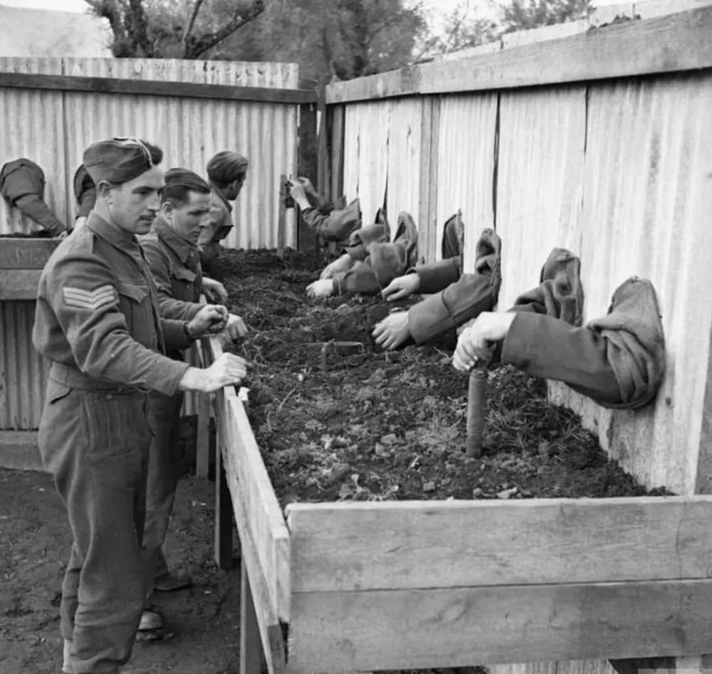 odd photos from Wolrd War Two