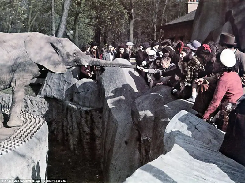 Color photos of occupied paris zucca