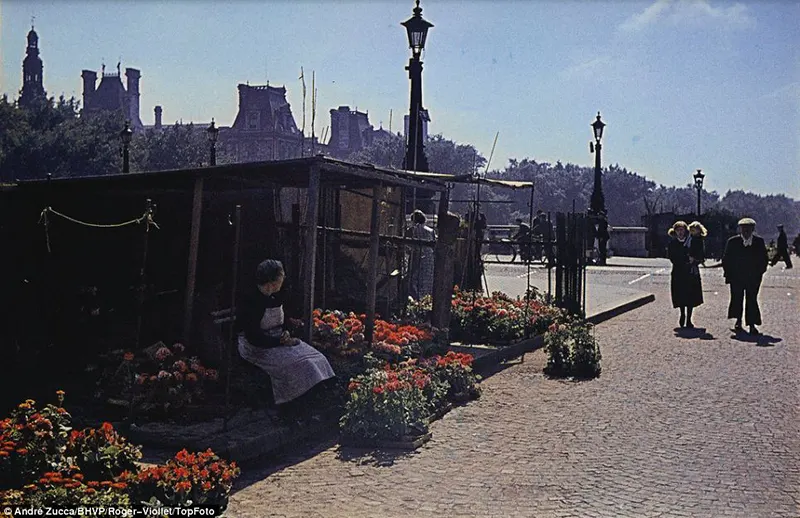 Color photos of occupied paris zucca