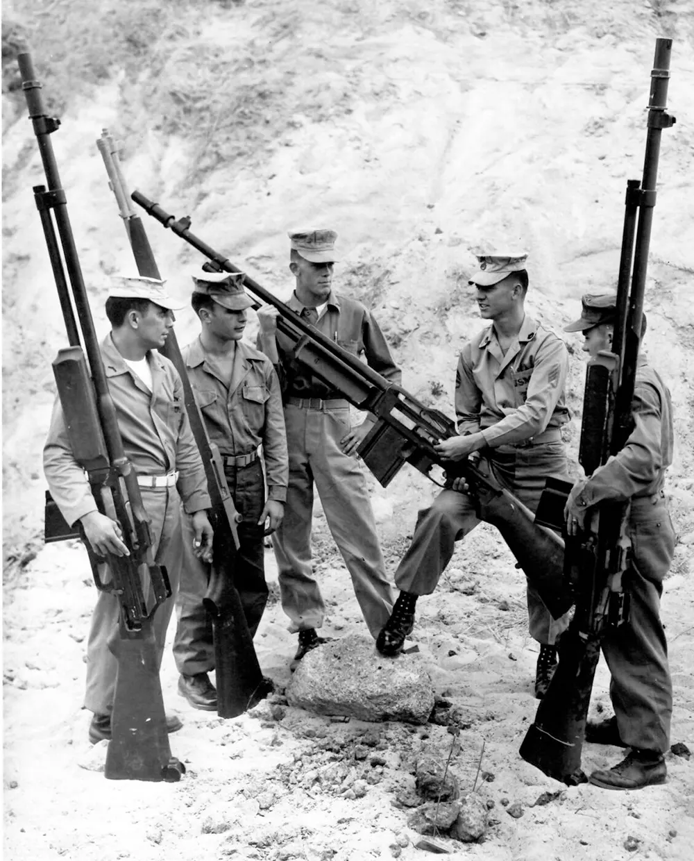 Gigantic training guns photos