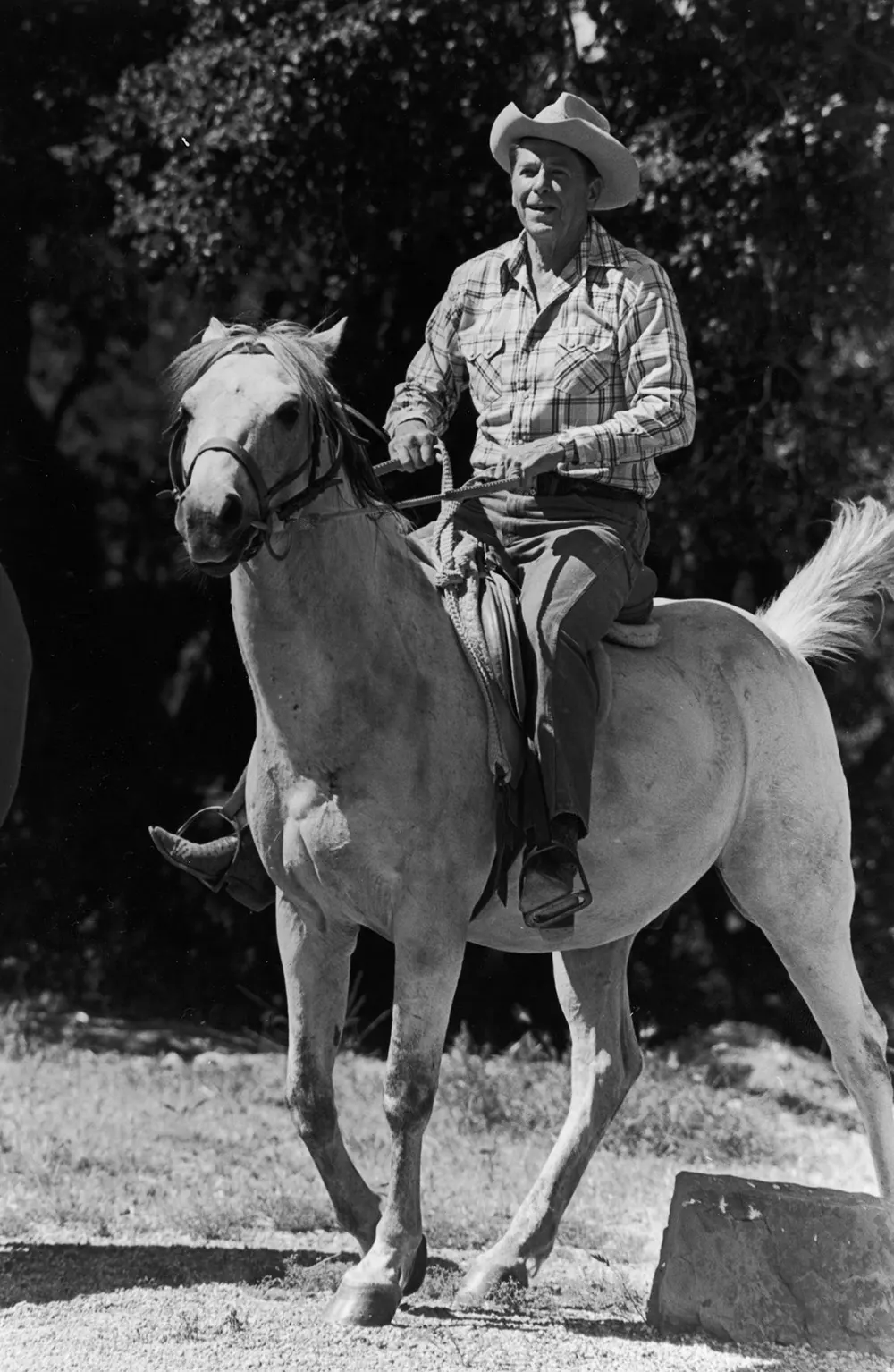 American presidents looking cool