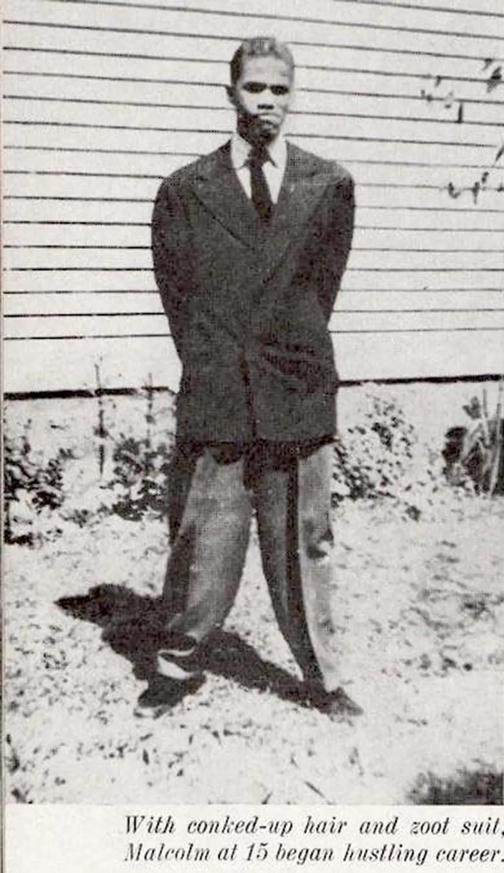zoot suit old photos