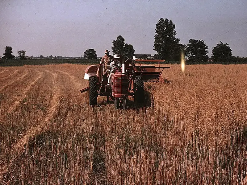 Great Depression Color Photos