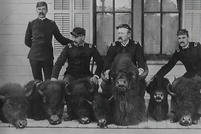 Haunting Photos of the Bison Extermination