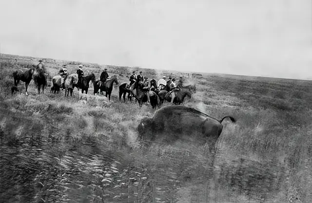 Haunting Photos of the Bison Extermination