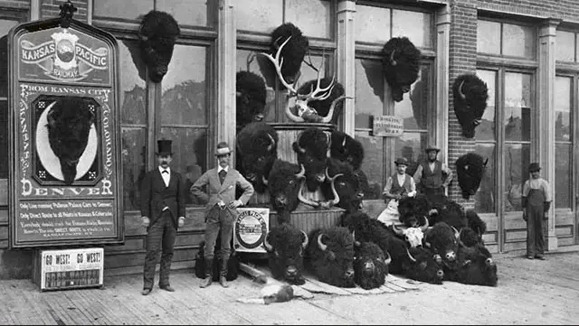 Haunting Photos of the Bison Extermination