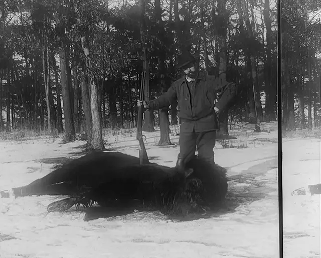 Haunting Photos of the Bison Extermination