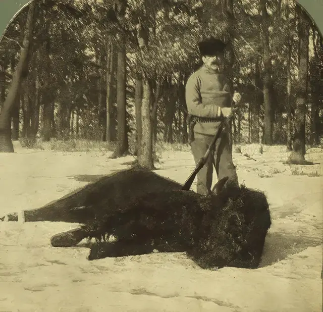 Haunting Photos of the Bison Extermination