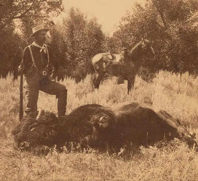 Haunting Photos of the Bison Extermination