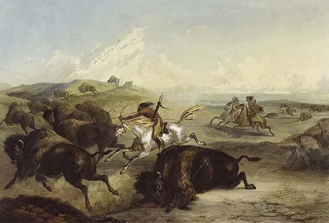 Haunting Photos of the Bison Extermination