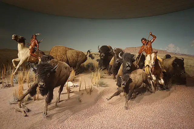 Haunting Photos of the Bison Extermination