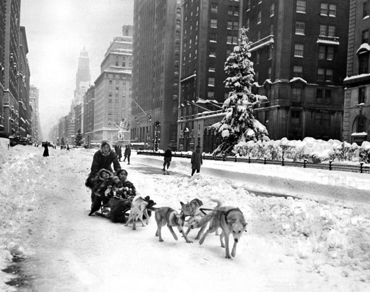 Blizzards and Snowfalls in New York City History