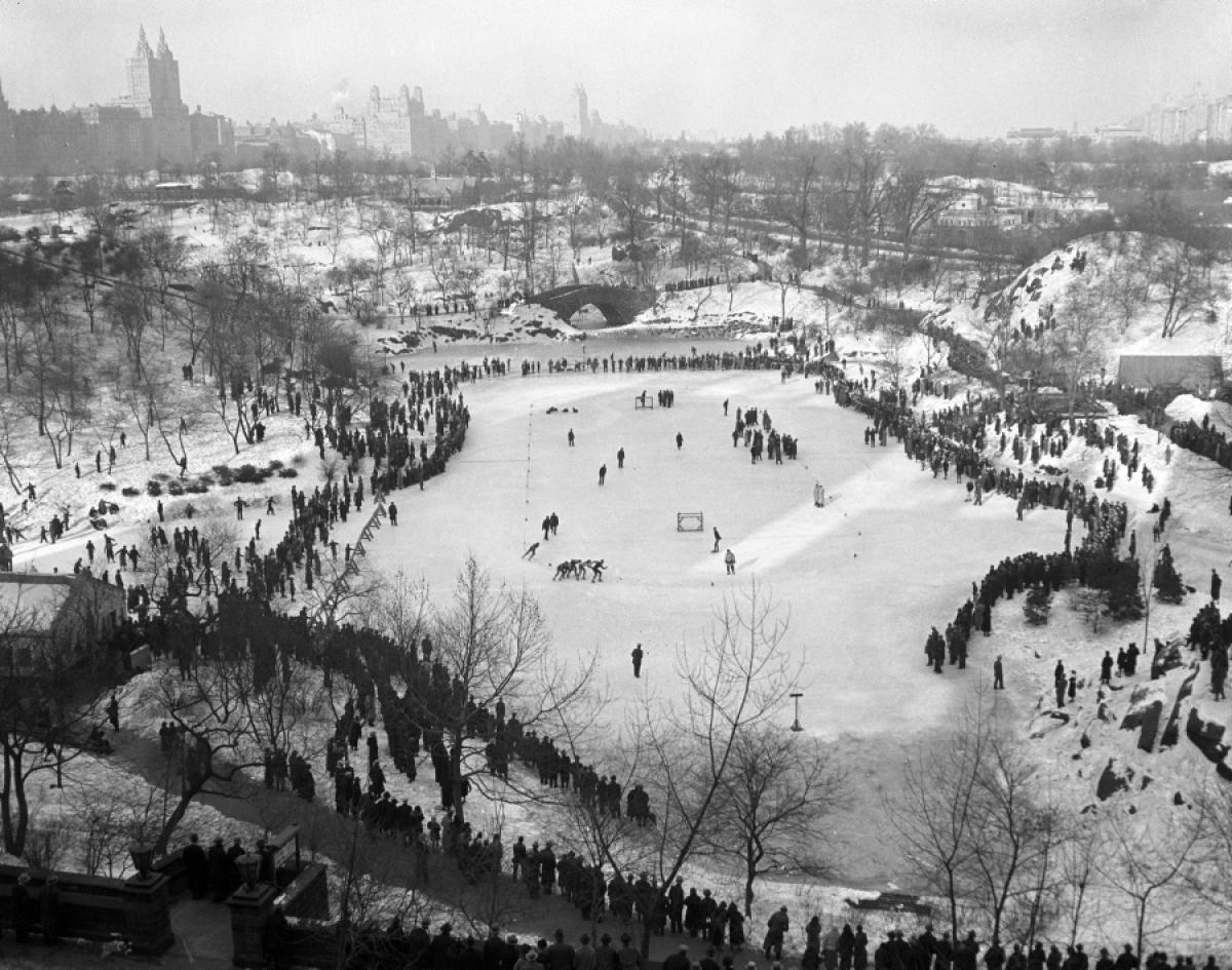 Blizzards and Snowfalls in New York City History