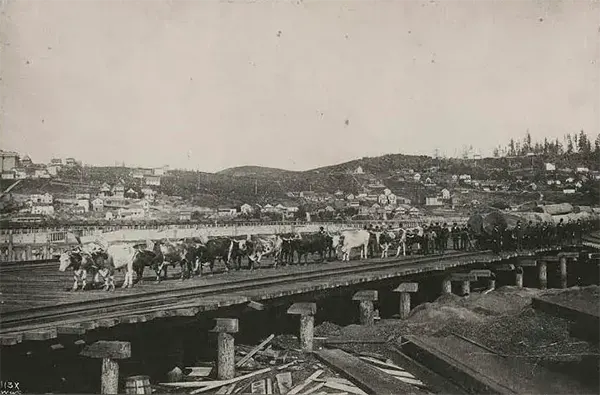 Old Photos Seattle in the 1870s