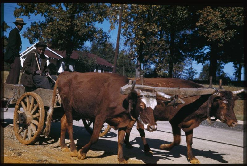 Kodachrome Slides Everyday Life USA 1940s