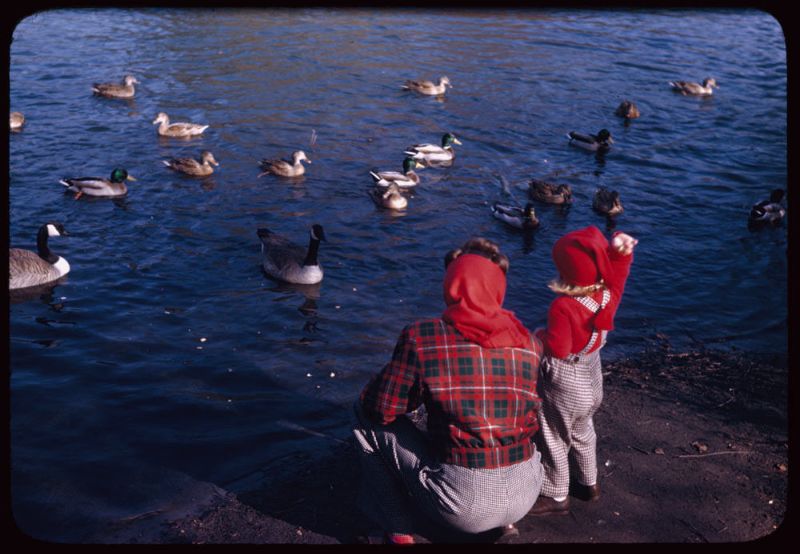 Kodachrome Slides Everyday Life USA 1940s