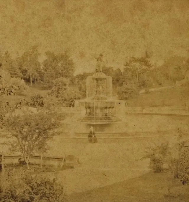 New York Old Photos 1870s